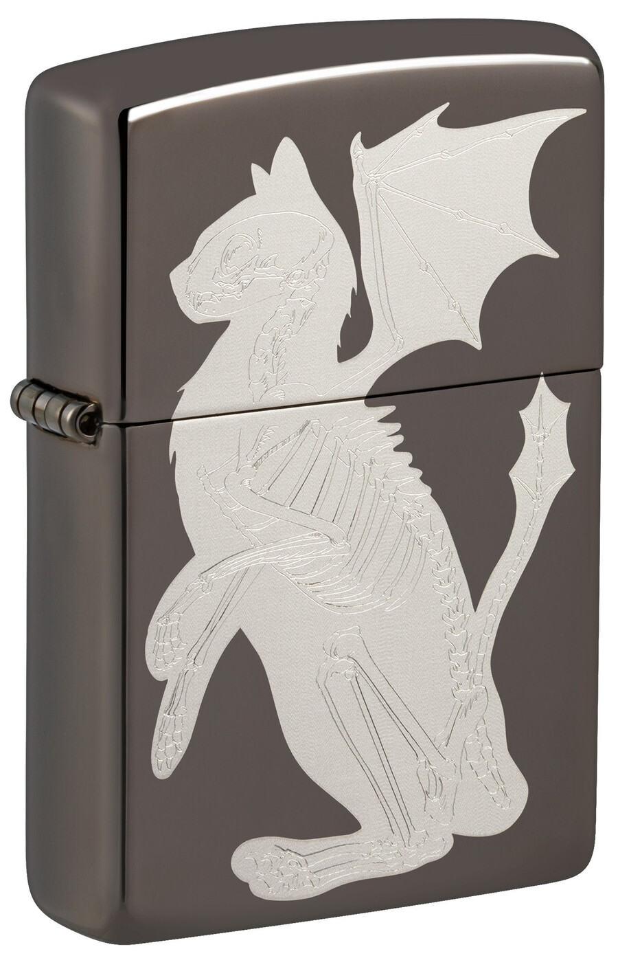 diseño de gato dragón