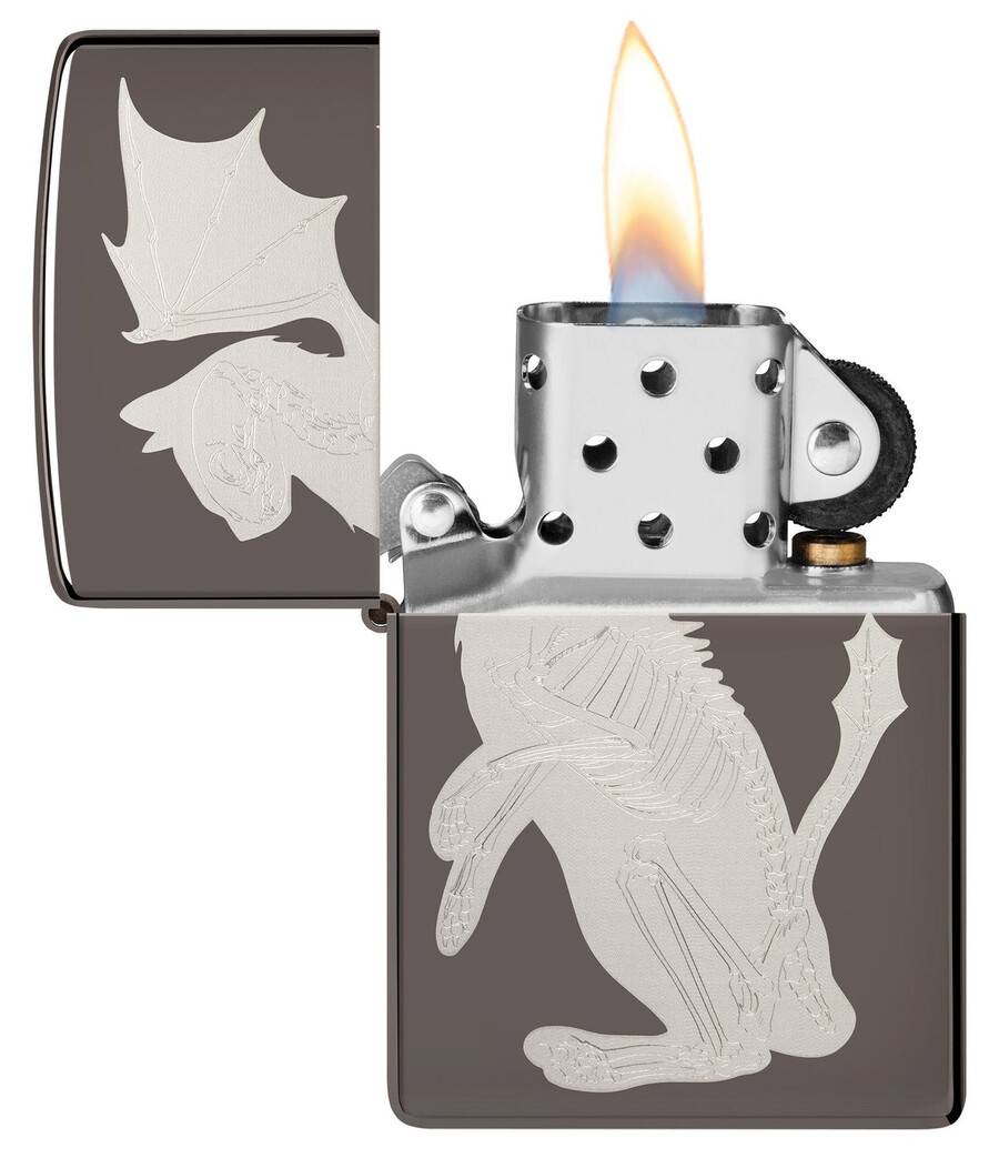 diseño de gato dragón
