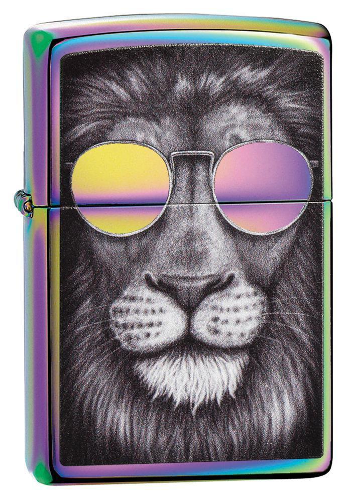 león con gafas de sol