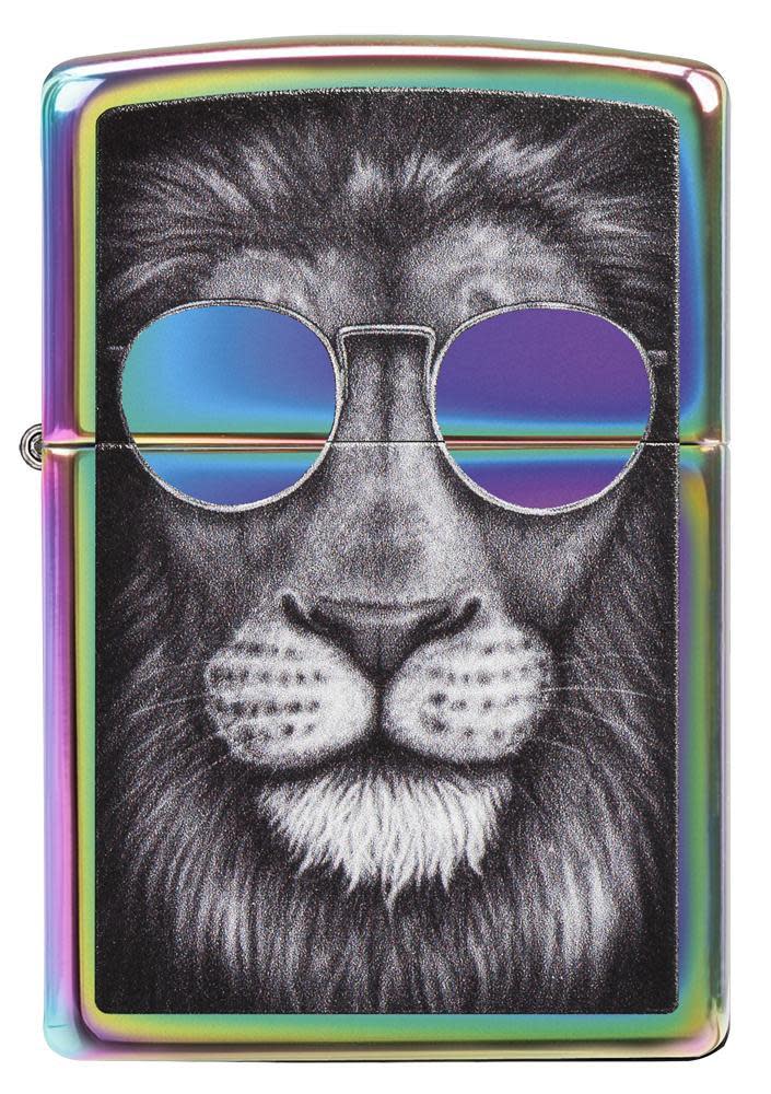 león con gafas de sol