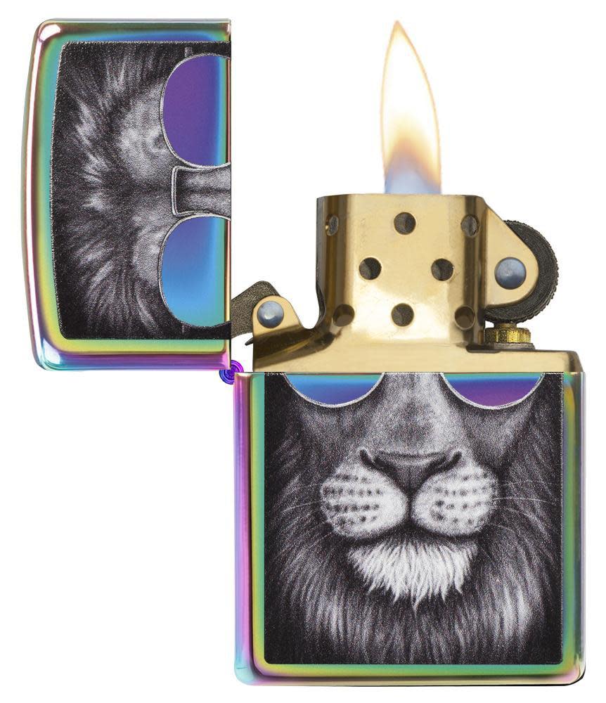 león con gafas de sol