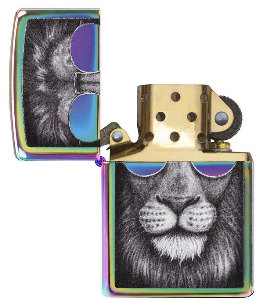 león con gafas de sol