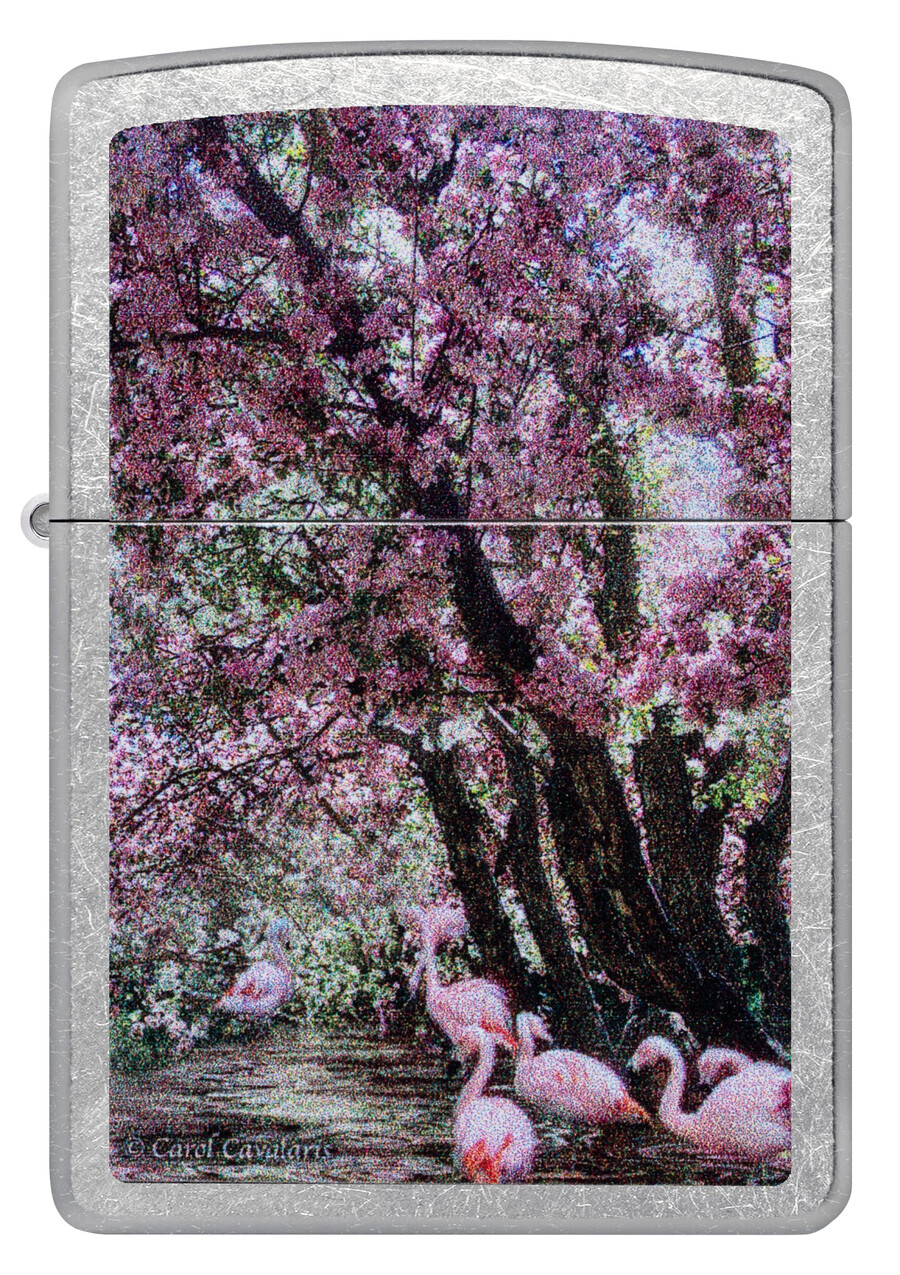 diseño de laguna de flamencos de carol cavalaris