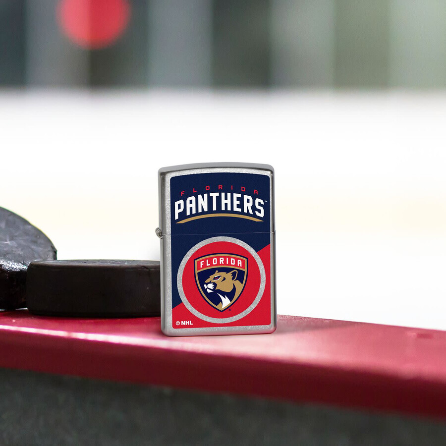diseño de logotipo con bloques de color de los florida panthers