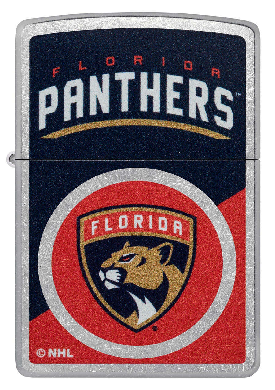 diseño de logotipo con bloques de color de los florida panthers