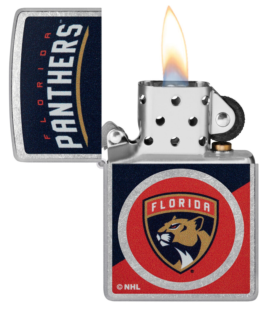 diseño de logotipo con bloques de color de los florida panthers