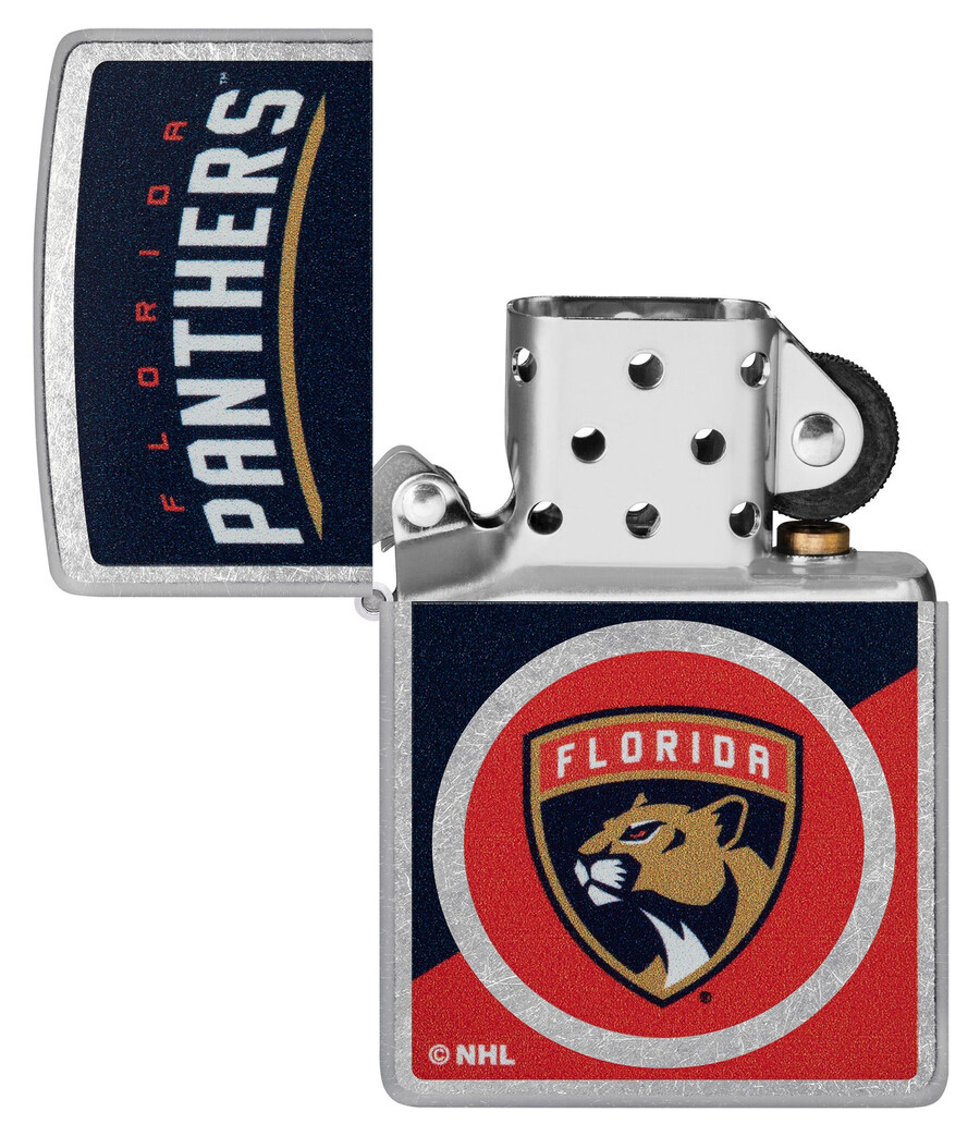diseño de logotipo con bloques de color de los florida panthers