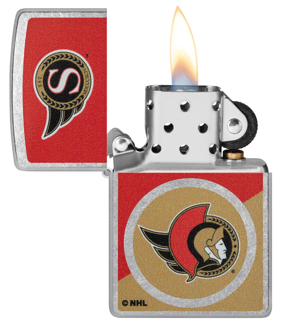 diseño de logotipo con bloques de color de los ottawa senators