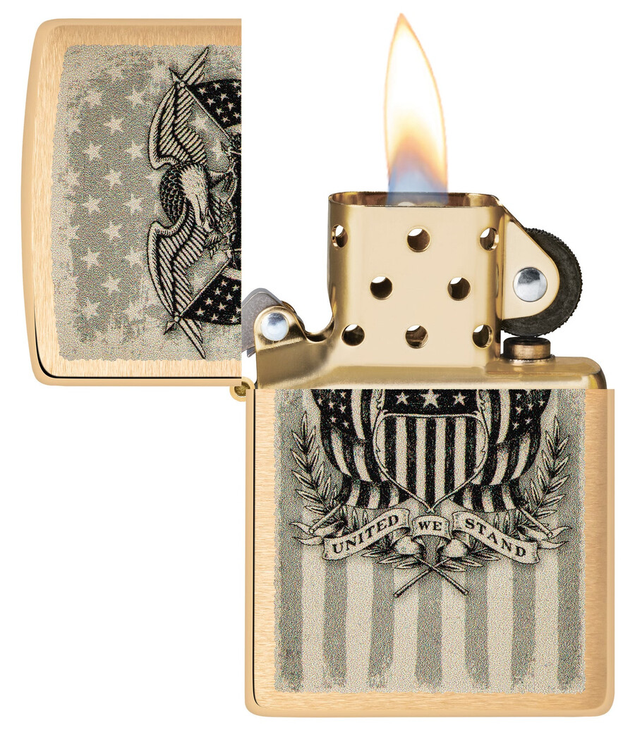 diseño del escudo americano