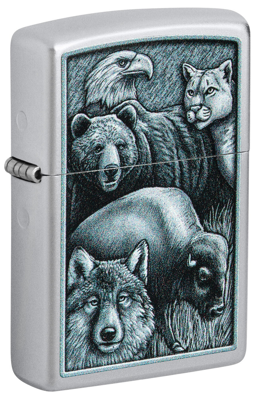 diseño del reino animal