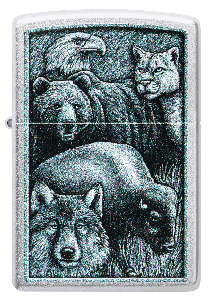 diseño del reino animal