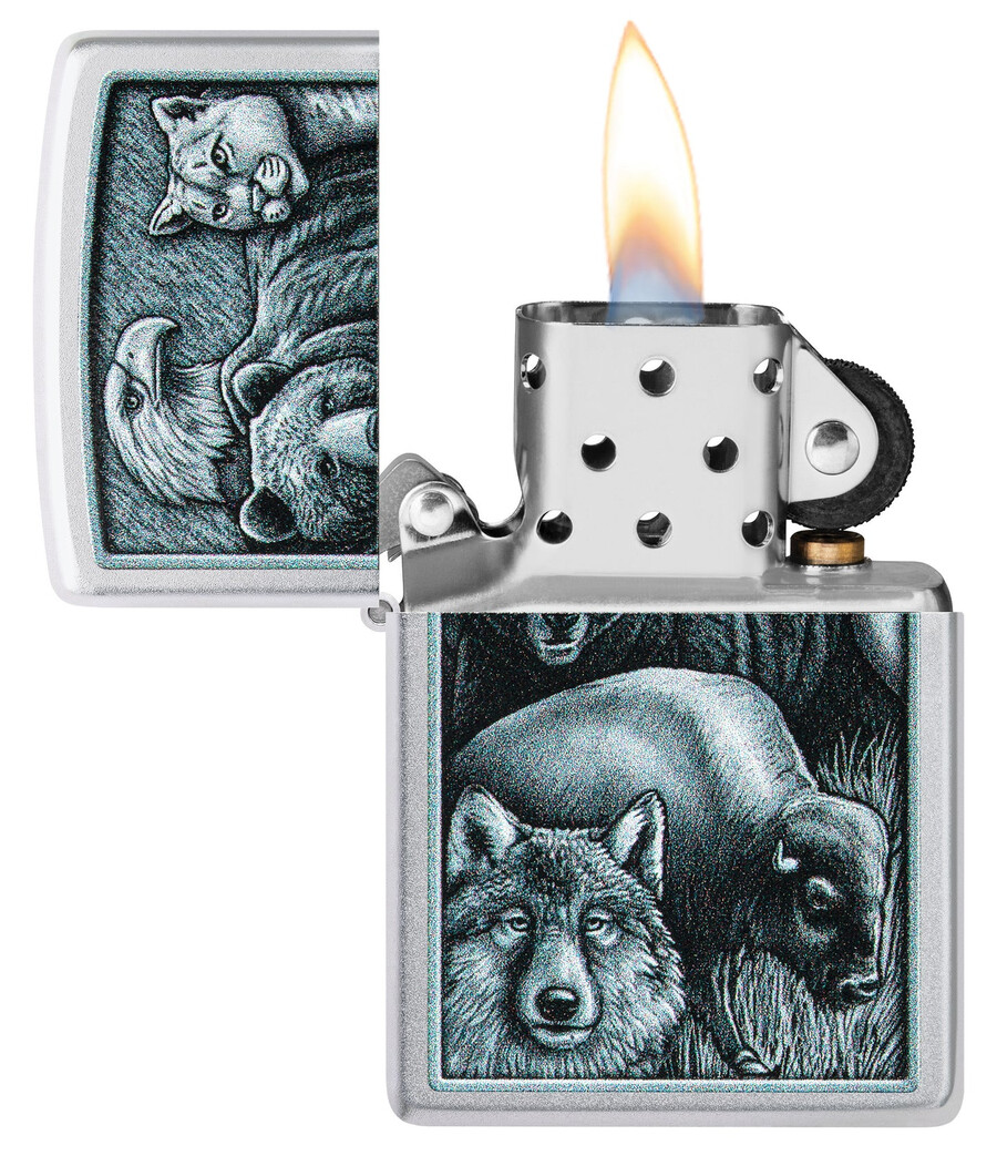 diseño del reino animal