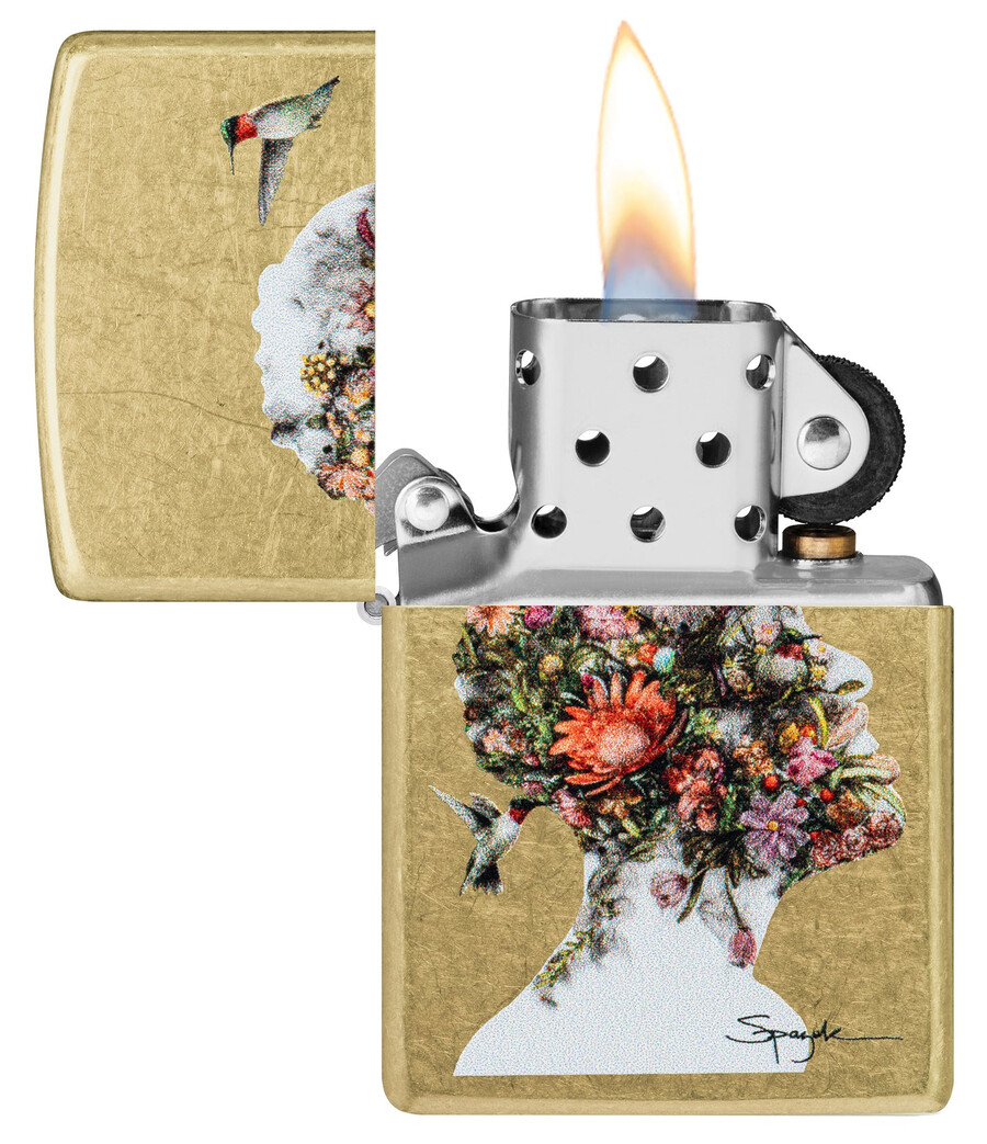 diseño de colibríes spazuk