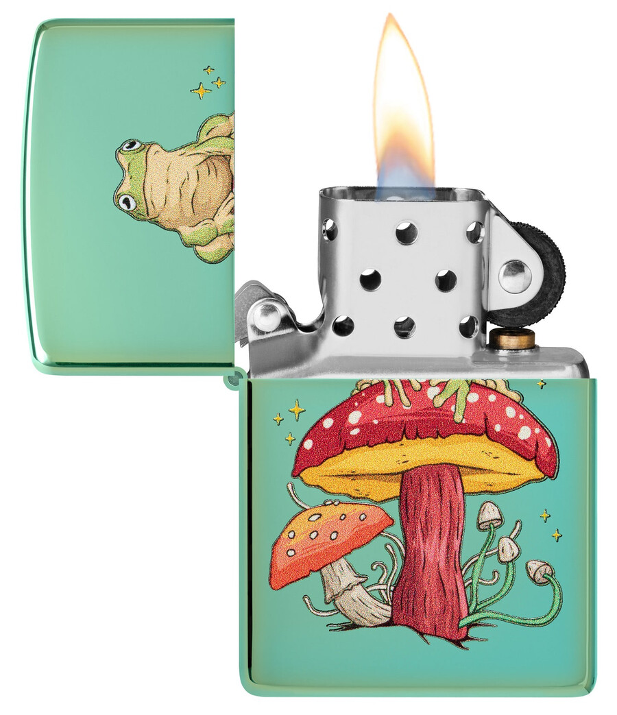 diseño de rana mística