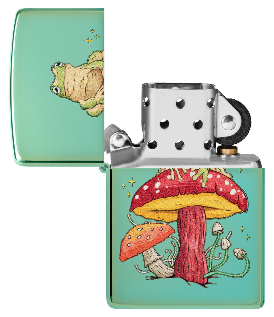 diseño de rana mística