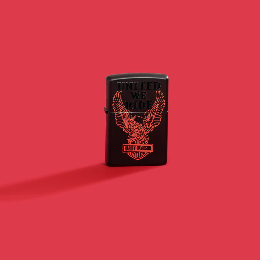 diseño de harley-davidson united we ride