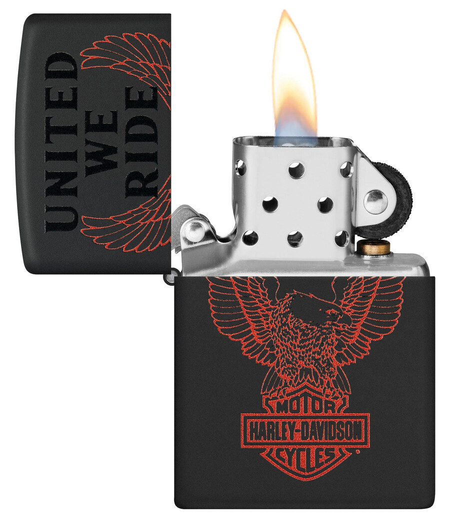 diseño de harley-davidson united we ride