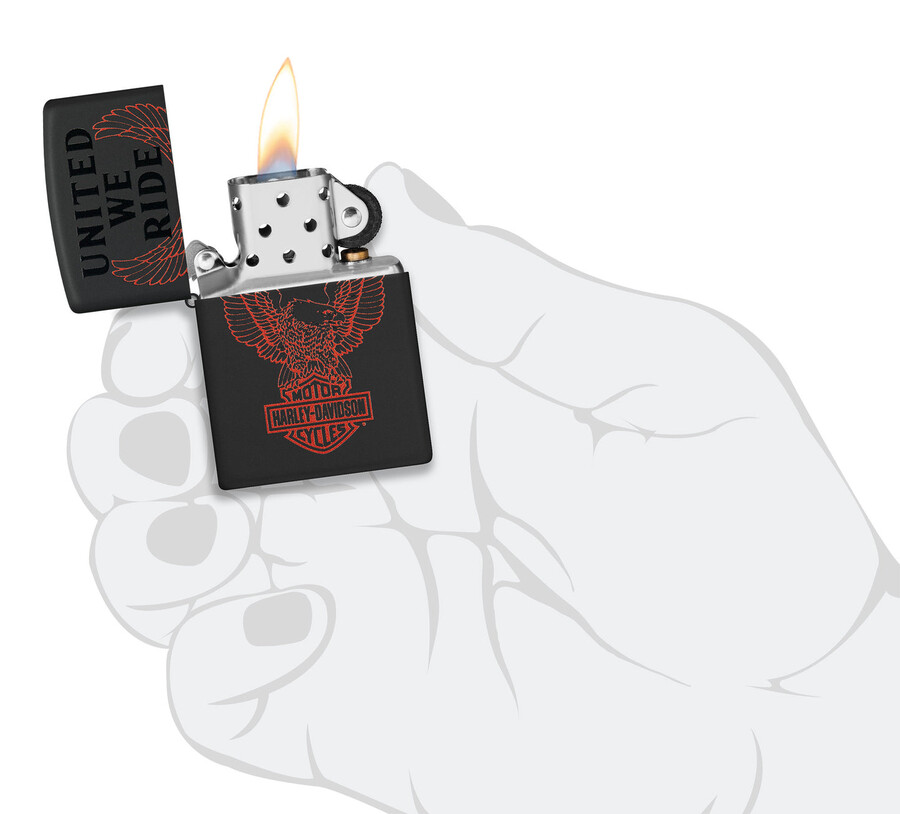 diseño de harley-davidson united we ride